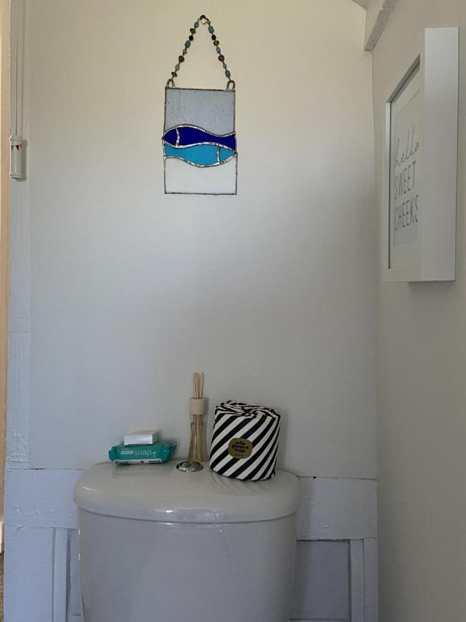 Dog Friendly Studio Flat Apartment Topsham Exterior photo